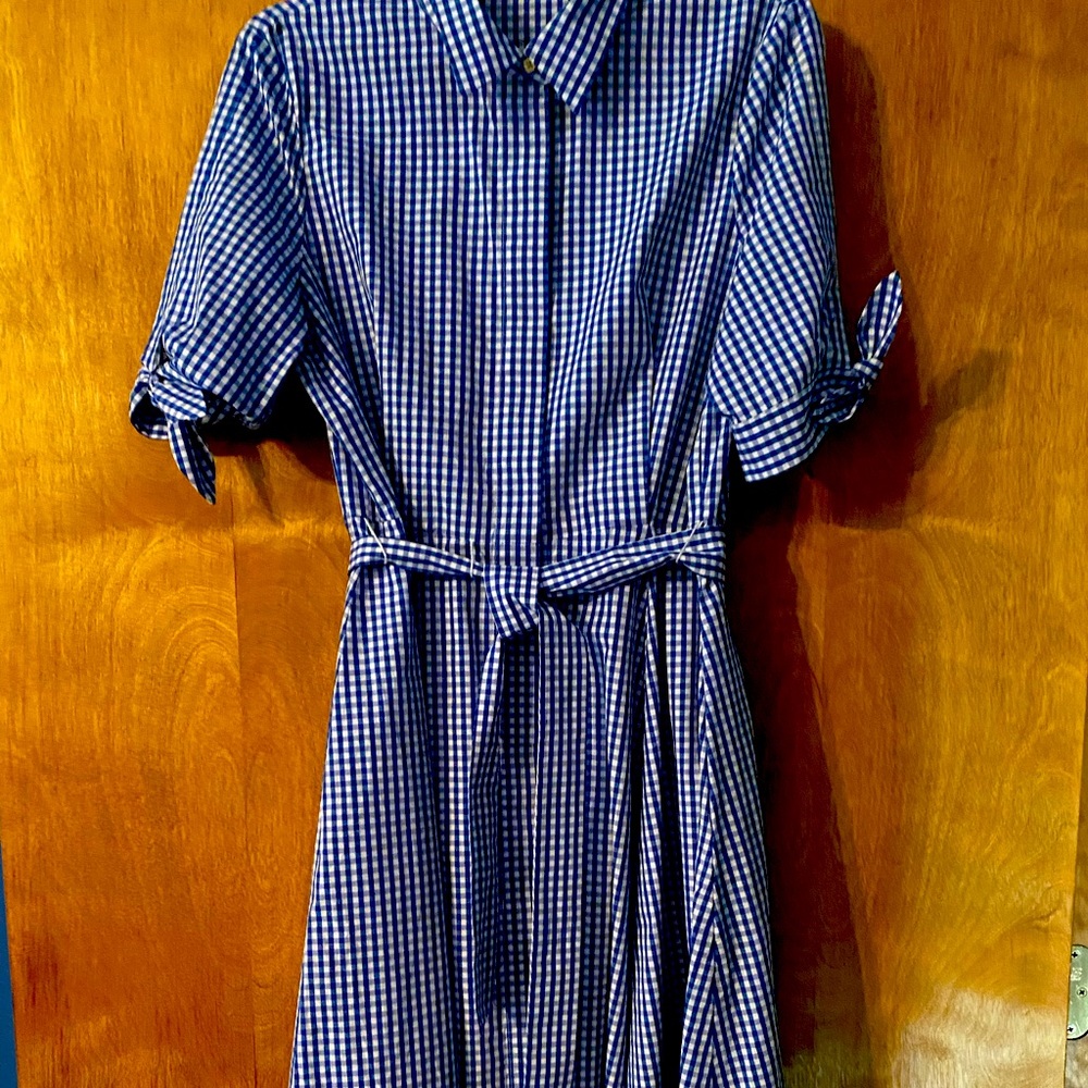 Calvin Klein blue seersucker dress.